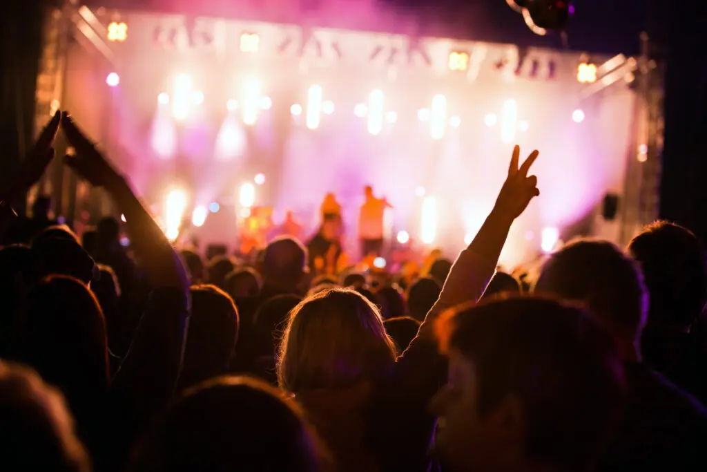publiek op een festival